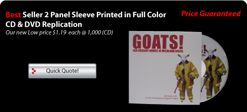 best seller 2 panel Disc mailer printed color with cd Duplication
