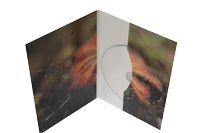2 Panel Sleeve/mailer printed in Color